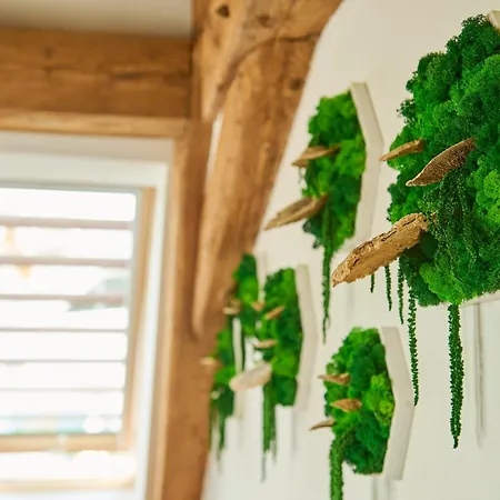 Apartament Wood World Luxury Ii Massage - Bergblick - Parken - Kueche - Light Show - Trampolin Markdorf