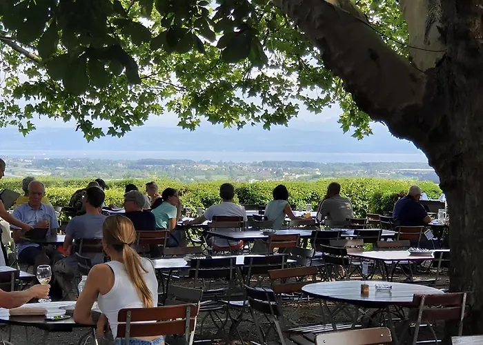 Wood World Luxury Ii Massage - Bergblick - Parken - Kueche - Light Show - Trampolin