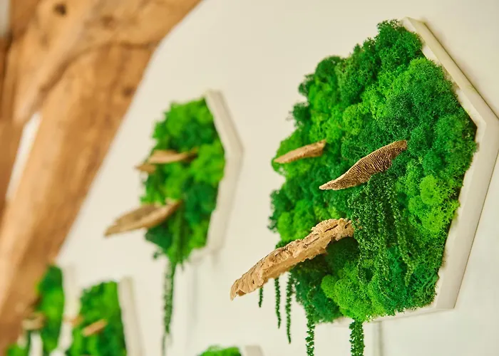 Wood World Luxury Ii Massage - Bergblick - Parken - Kueche - Light Show - Trampolin *