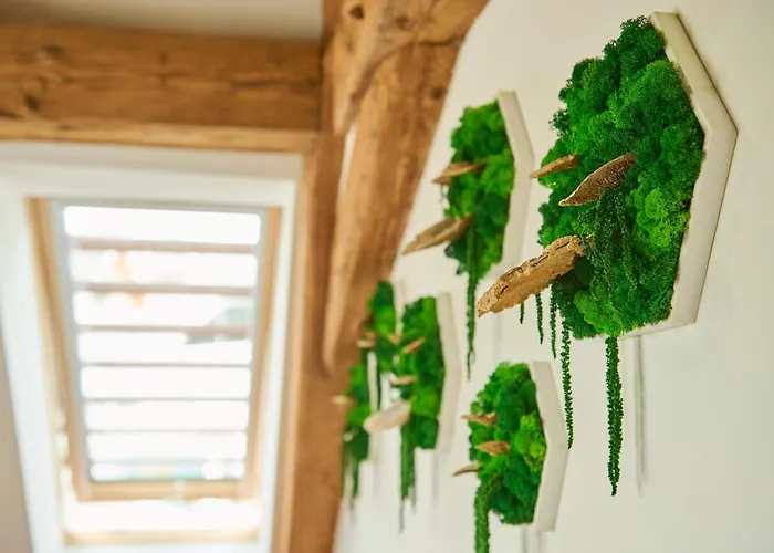 Apartman Wood World Luxury Ii Massage - Bergblick - Parken - Kueche - Light Show - Trampolin Markdorf